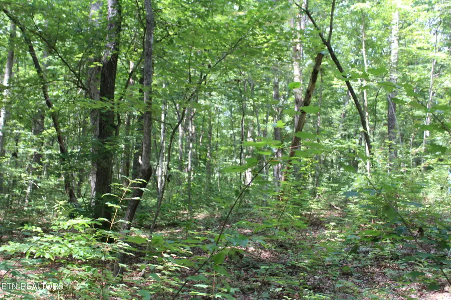 Pickett Park Hwy, Jamestown, TN 38556 - #3