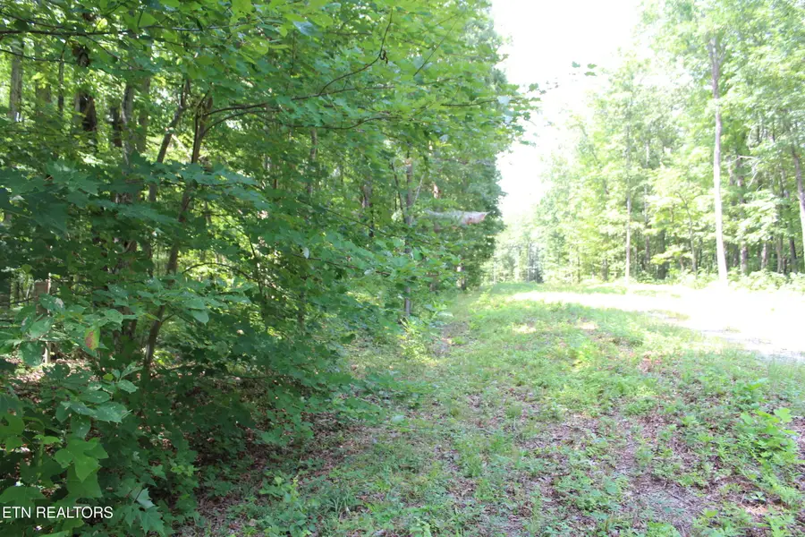 Pickett Park Hwy, Jamestown, TN 38556 - #3