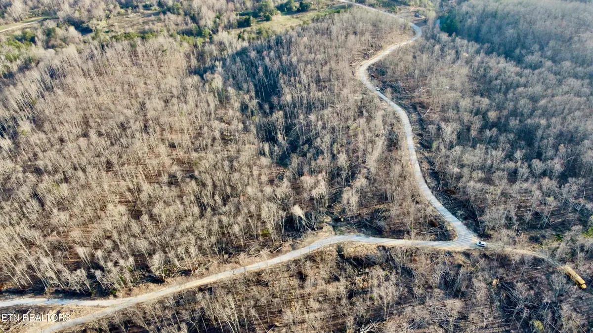 Lot#8 Mill Creek Rd #026 009.19, Sunbright, TN 37872 - #1