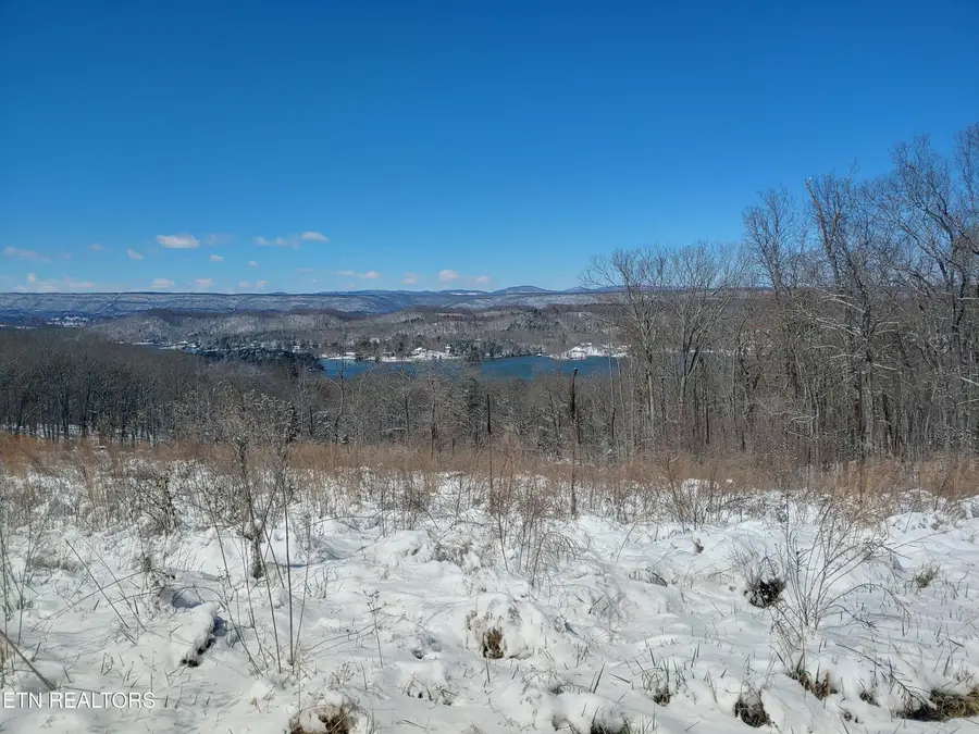 0.77 acres Spruce Drive, Spring City, TN 37381 - #3