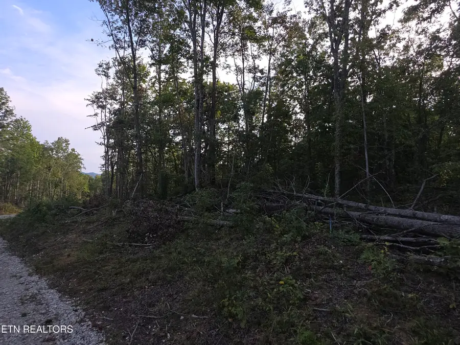 Lot#12 Mill Creek Rd, Sunbright, TN 37872 - #2