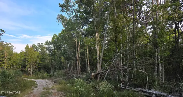 Lot#10 Mill Creek Rd, Sunbright, TN 37872