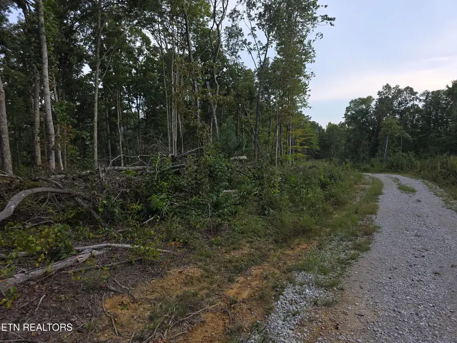 Lot#10 Mill Creek Rd, Sunbright, TN 37872 - #3