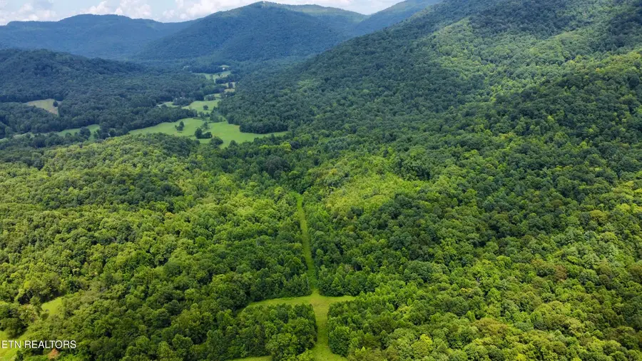 Rockhouse Creek - Church Rd, Pioneer, TN 37847 - #3