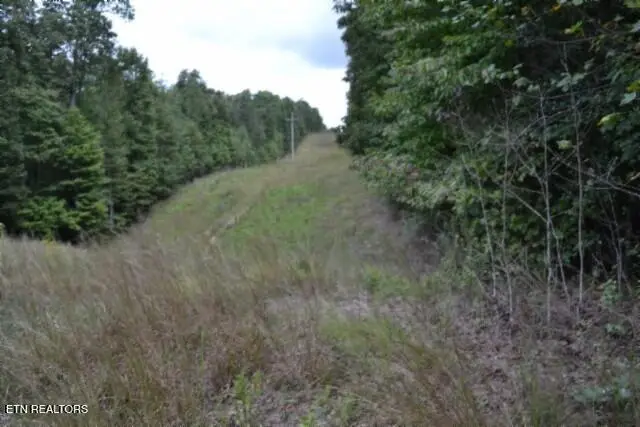 25.80ac Zizka Drive, Sparta, TN 38583 - #1