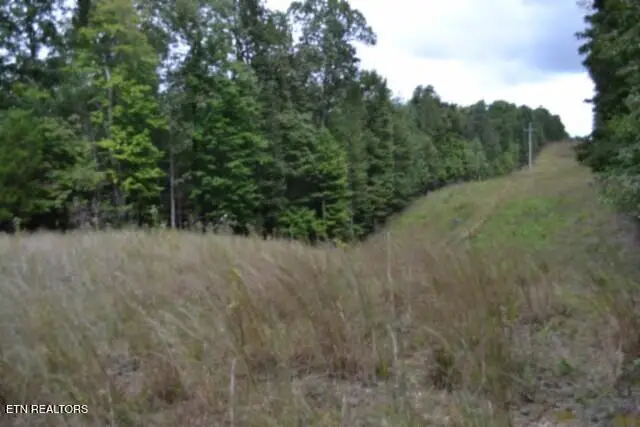 25.80ac Zizka Drive, Sparta, TN 38583 - #3