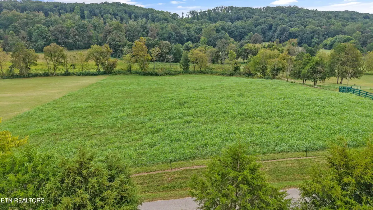 1361 Paint Rock Valley Rd, Philadelphia, TN 37846 - #1