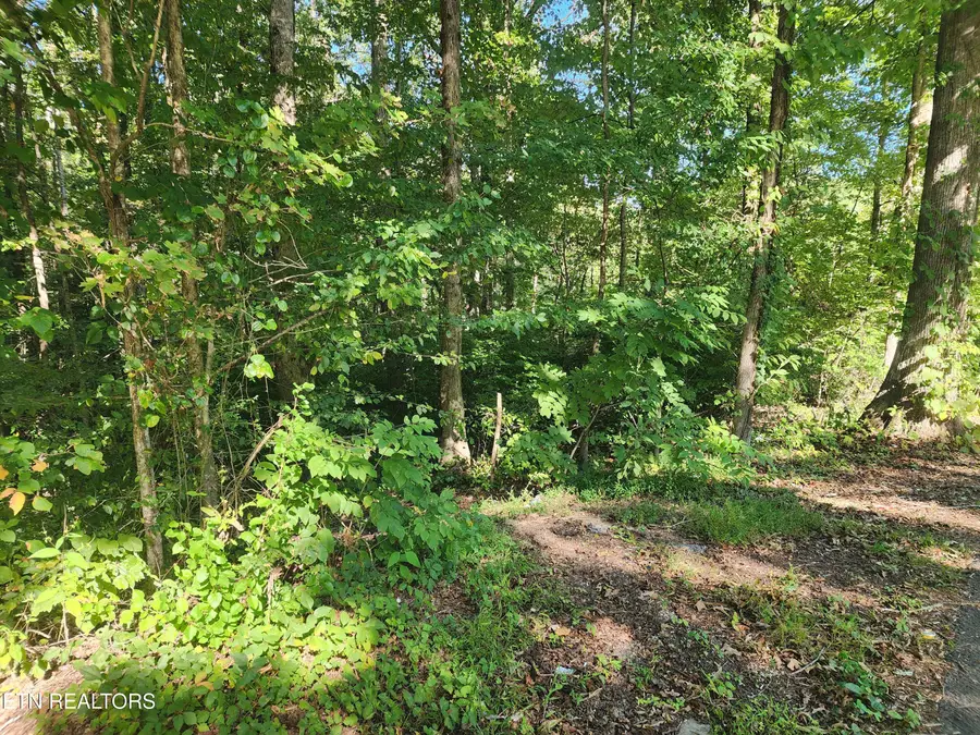Cove Lane, Oliver Springs, TN 37840 - #3