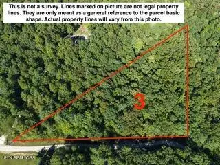 Bear Hollow Rd, Oneida, TN 37841 - #1