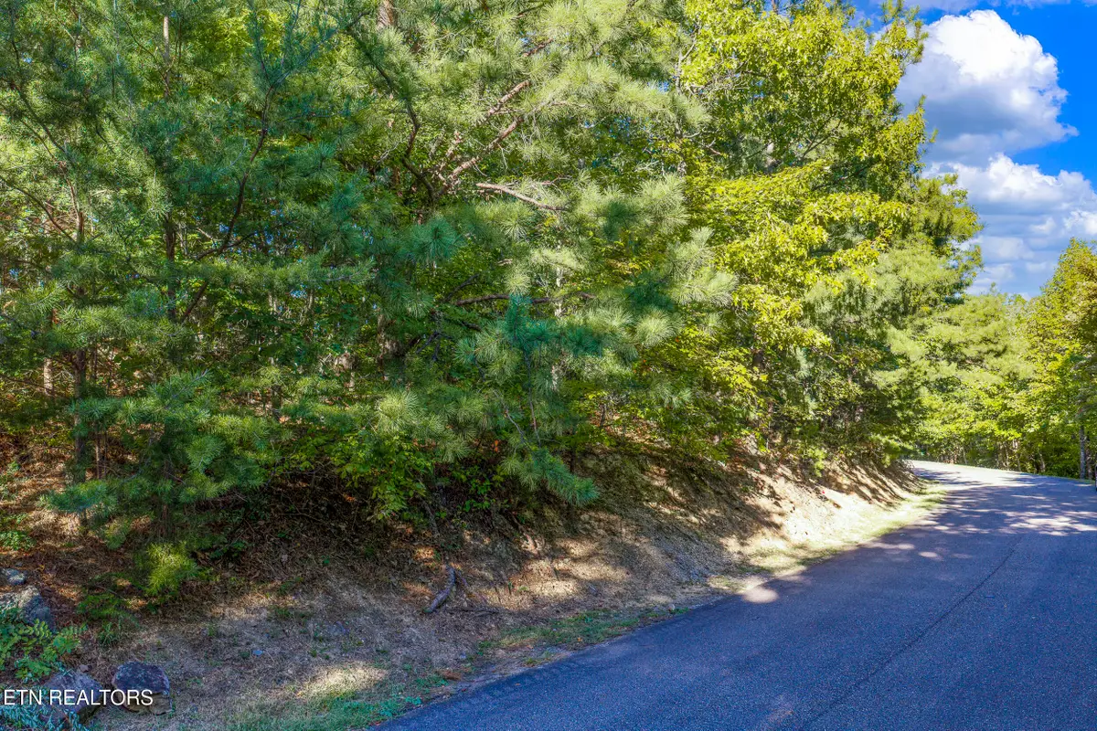 Laurel Top Way, Sevierville, TN 37862 - #1