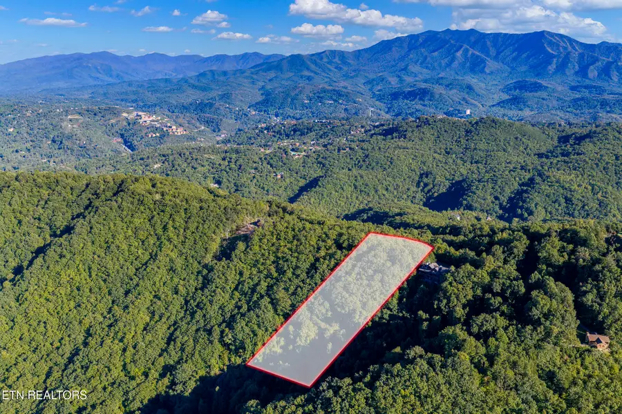 Laurel Top Way, Sevierville, TN 37862 - #2