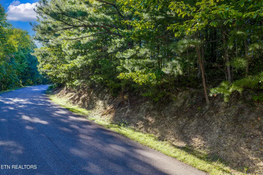 Laurel Top Way, Sevierville, TN 37862 - #3