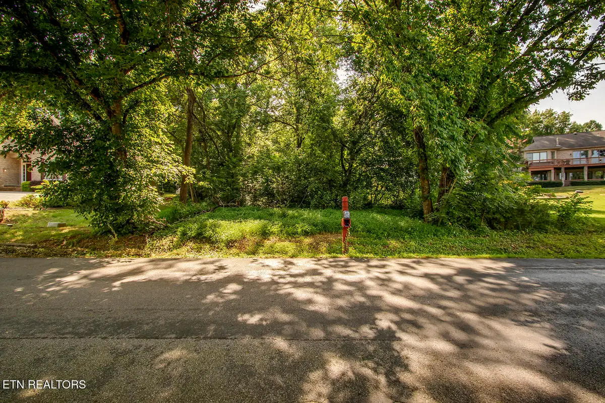 293 Dudala Way, Loudon, TN 37774 - #1