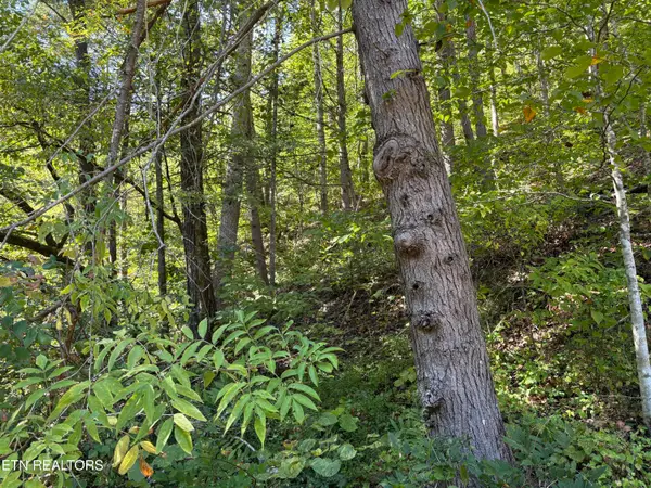 N Clearfork Rd #Sec 2, lot1, Sevierville, TN 37862