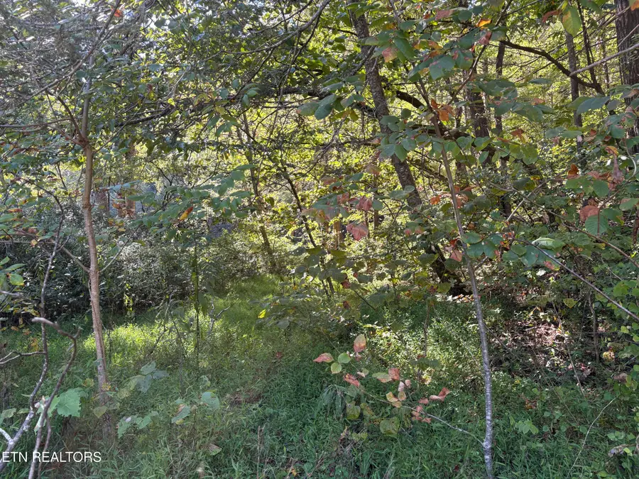 N Clearfork Rd #Sec 2, lot1, Sevierville, TN 37862 - #2