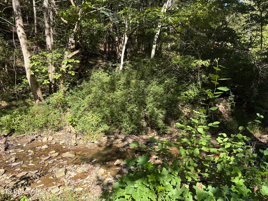 N Clearfork Rd #Sec 2, lot1, Sevierville, TN 37862 - #3