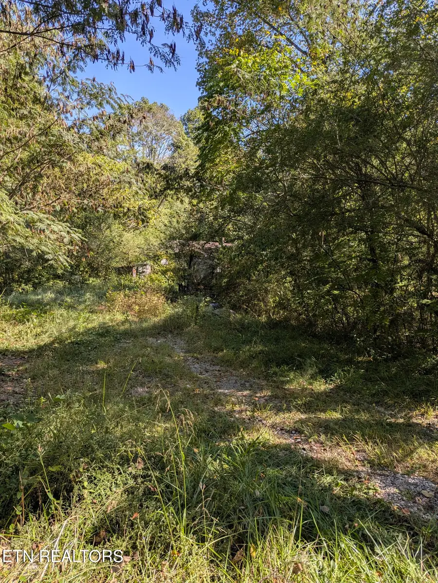528 N 13th St, Lafollette, TN 37766 - #2