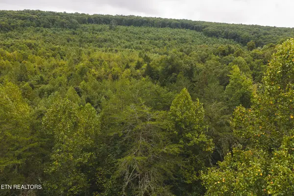 1444 Beech Creek Rd, Rogersville, TN 37857