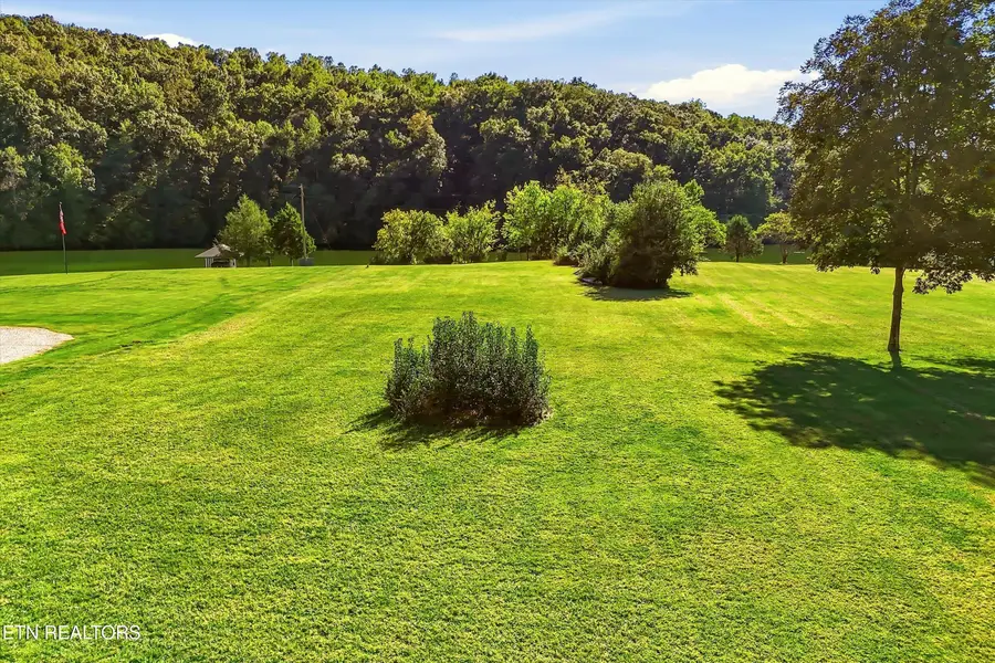 Lot 8 Easter Drive, Rockwood, TN 37854 - #3