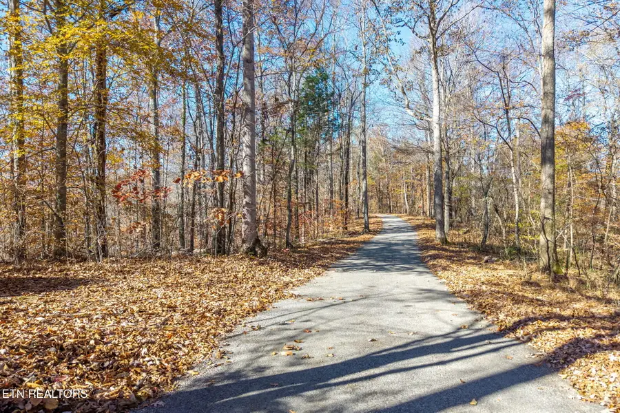 353 Red Bud Lane, Hilham, TN 38568 - #3