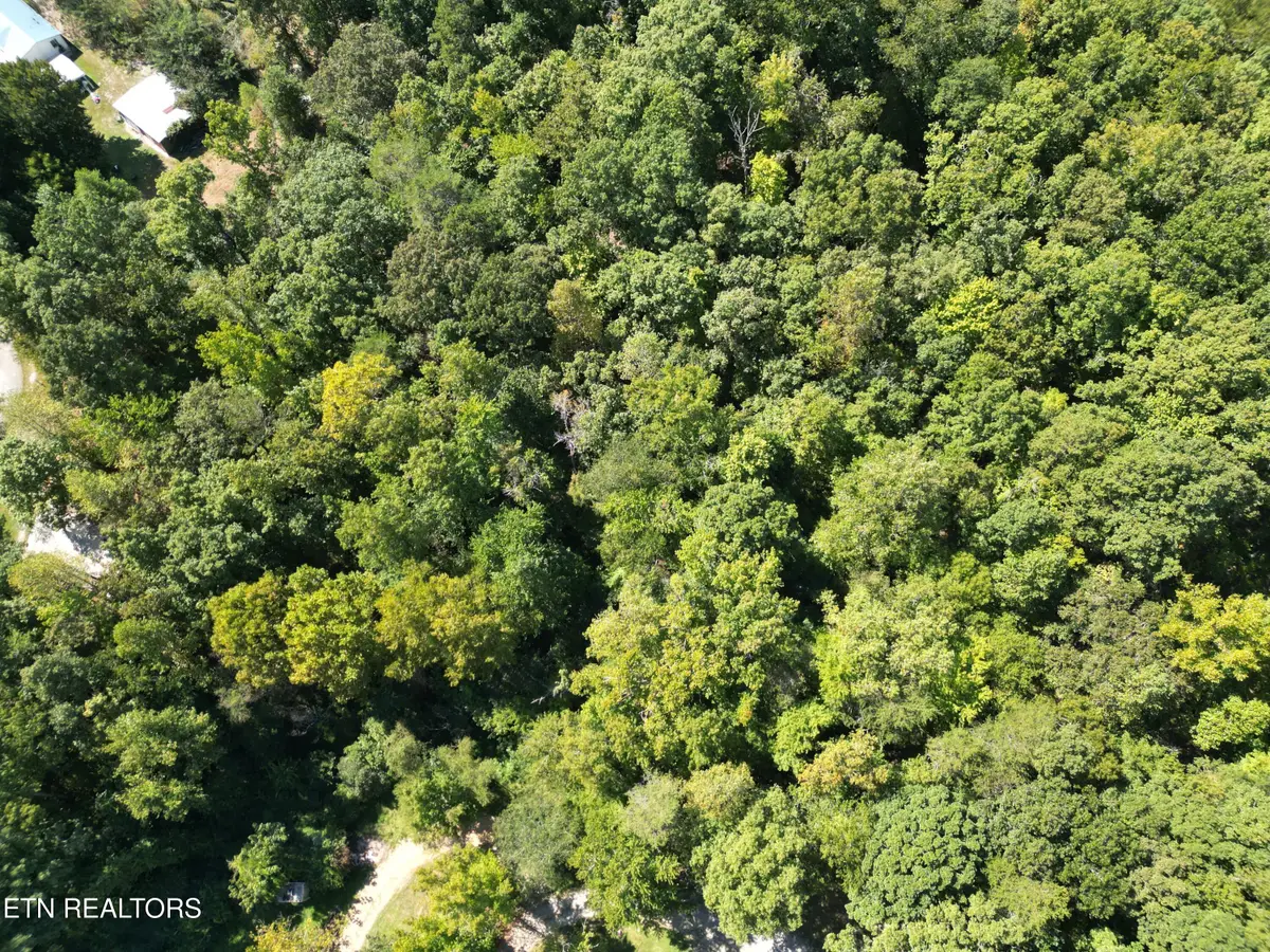 White St, Rockwood, TN 37854 - #1