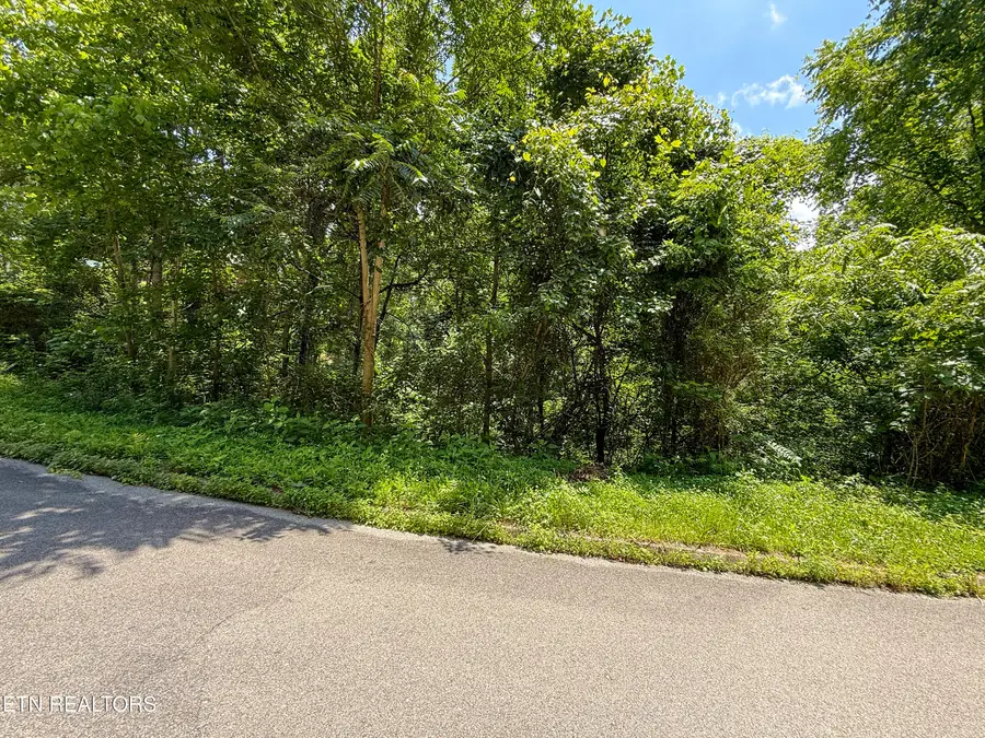 Lot 55 Oak Lake Drive, Sevierville, TN 37876 - #3