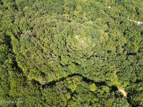 Lake Overlook Drive, Rockwood, TN 37854