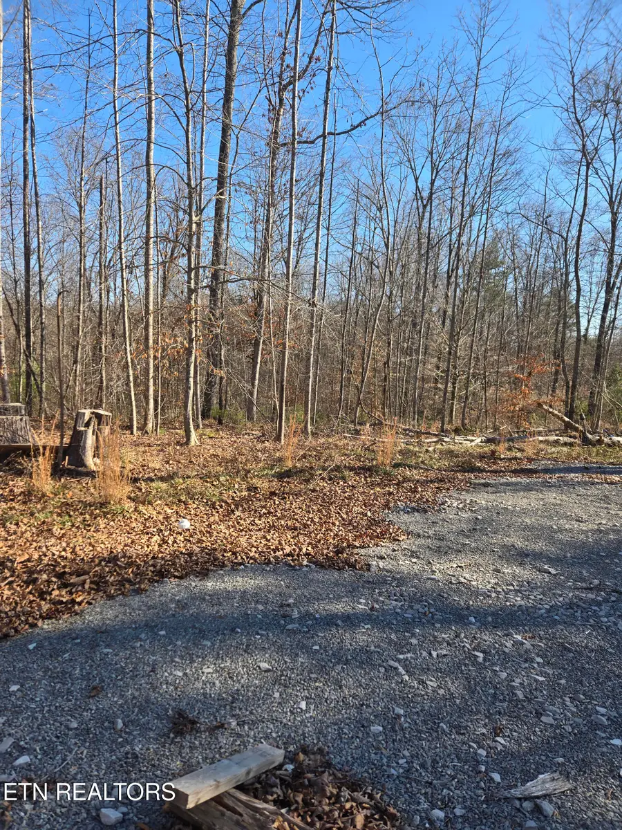 1434 Catoosa Rd, Wartburg, TN 37887 - #2