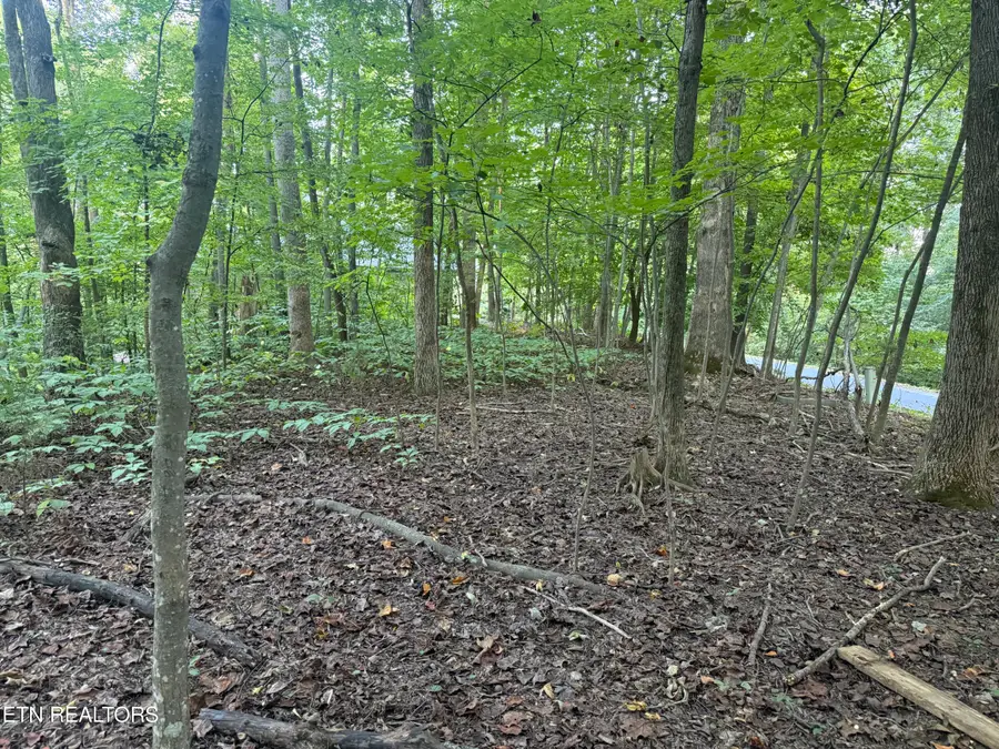 322 Dudala Point, Loudon, TN 37774 - #3