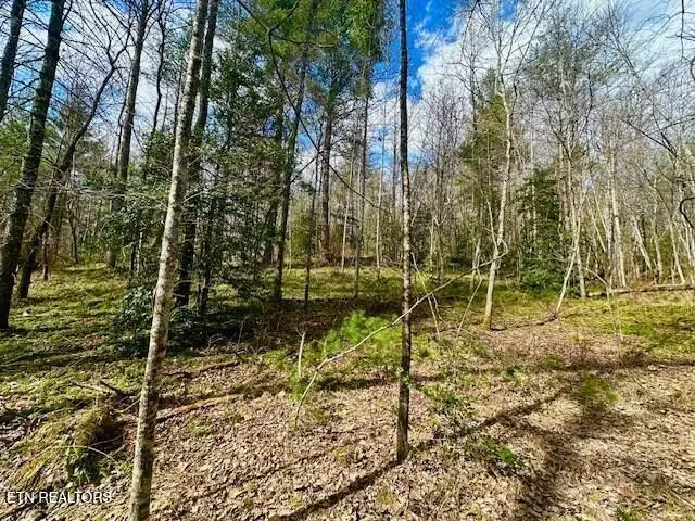 144 Gunter Place Rd #2, Sunbright, TN 37872 - #1