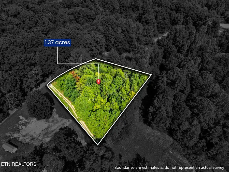 1431 Mountain View Rd, Rockwood, TN 37854 - #3