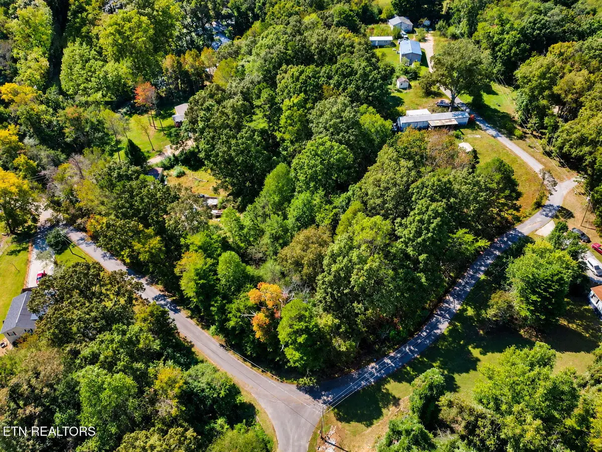 119 Baker Rd, Rockwood, TN 37854 - #1