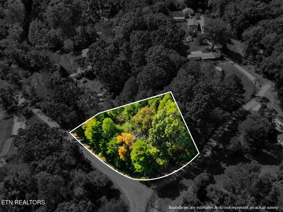119 Baker Rd, Rockwood, TN 37854 - #2