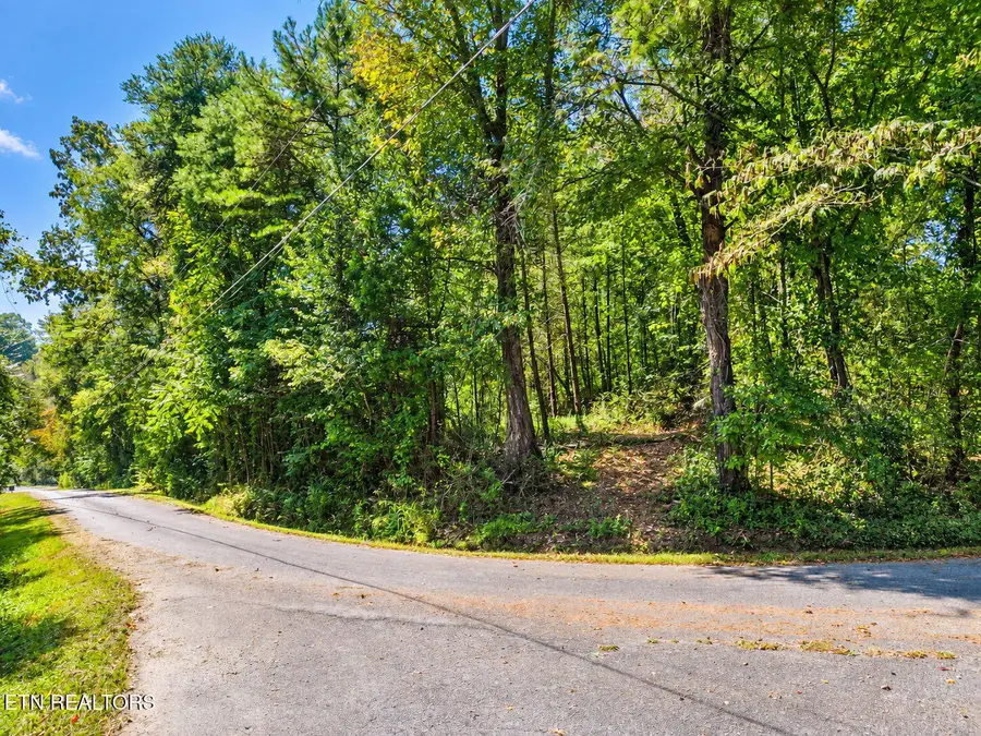 119 Baker Rd, Rockwood, TN 37854 - #3
