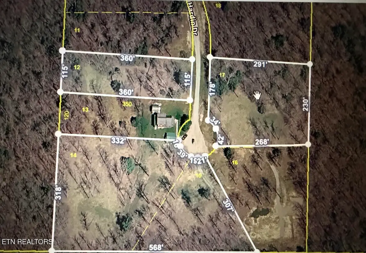 Hardin Private Drive #Lot 12, Robbins, TN 37852 - #1