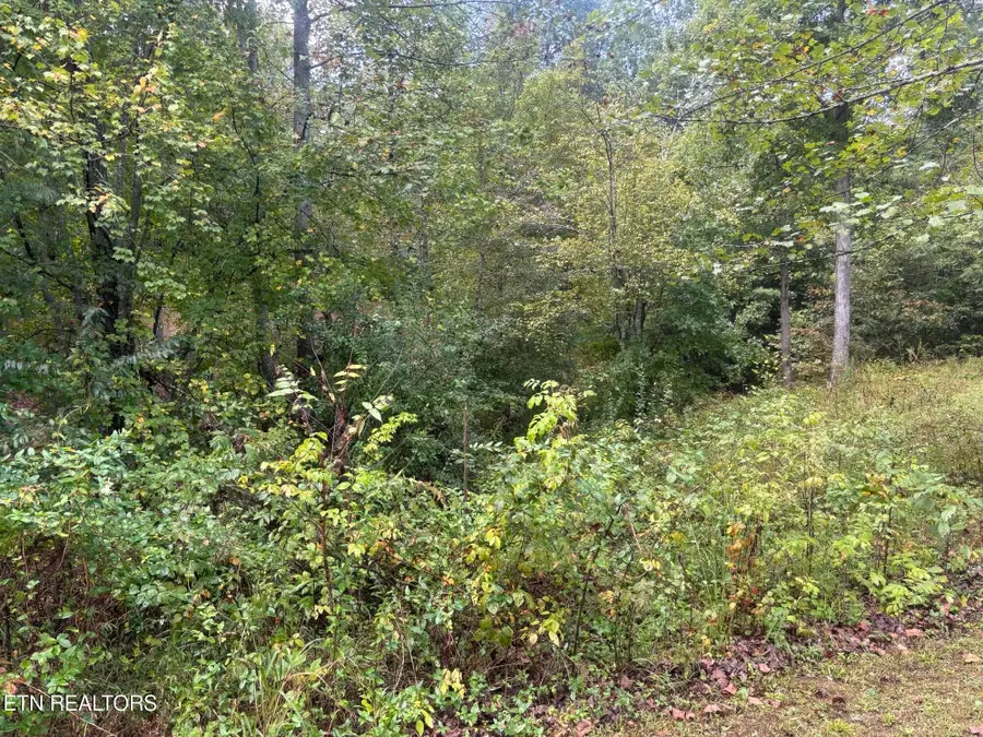 Hardin Private Drive #Lot 12, Robbins, TN 37852 - #3