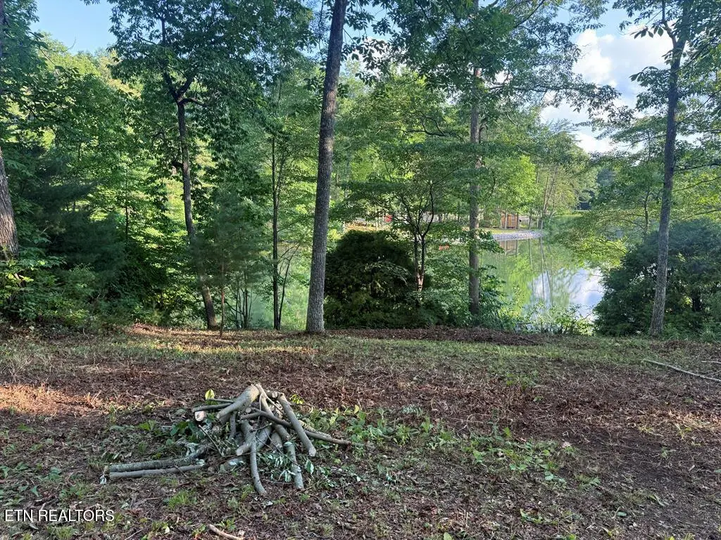231 Crockett Lake Drive, Crossville, TN 38572 - #1