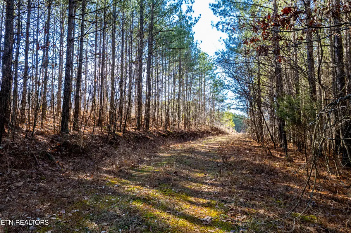 Lower Rockwood Rd Rd, Rockwood, TN 37854 - #1