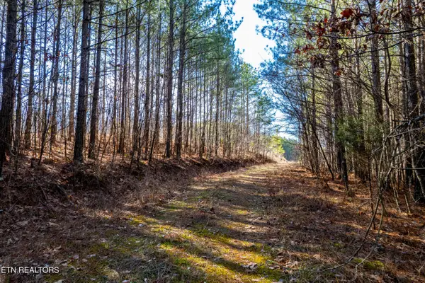 Lower Rockwood Rd Rd, Rockwood, TN 37854