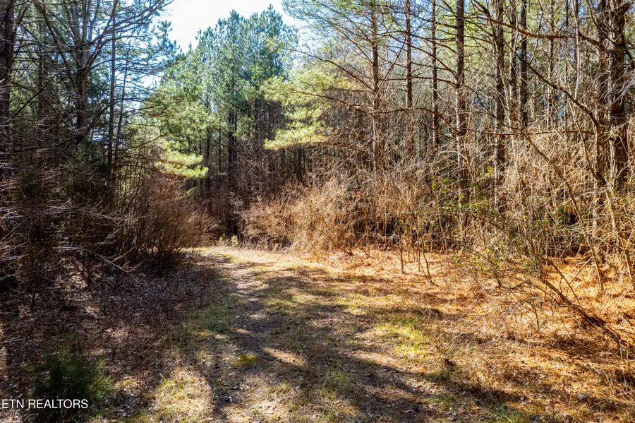 Lower Rockwood Rd Rd, Rockwood, TN 37854 - #2