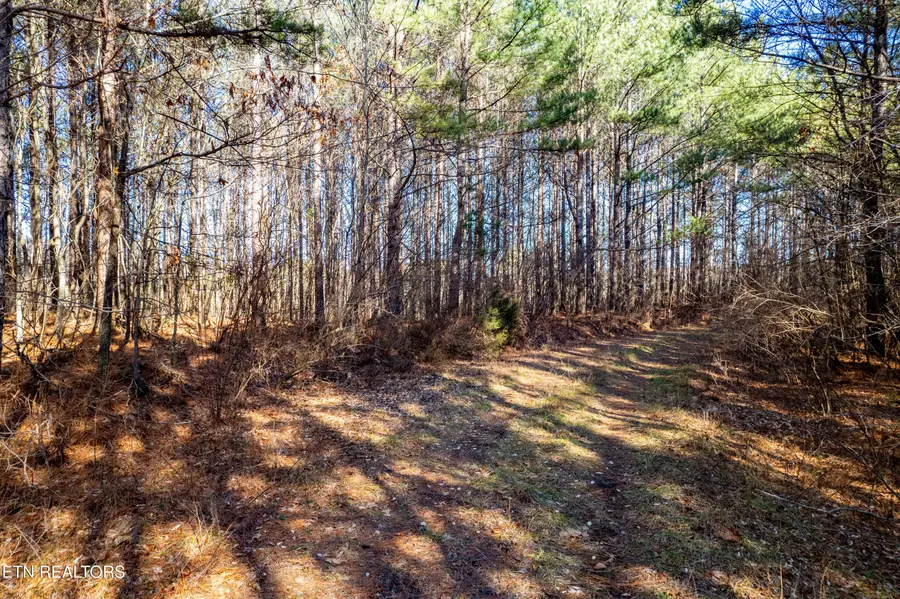 Airport Rd. Lot 7, Rockwood, TN 37854 - #2