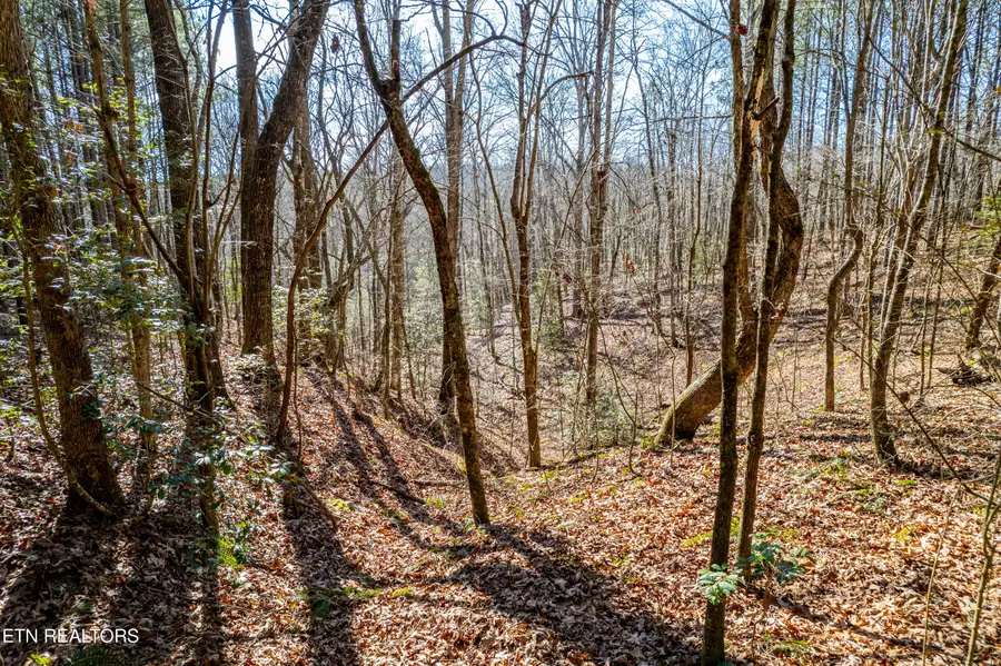 Lower Rockwood Rd Lot 15, Rockwood, TN 37854 - #3