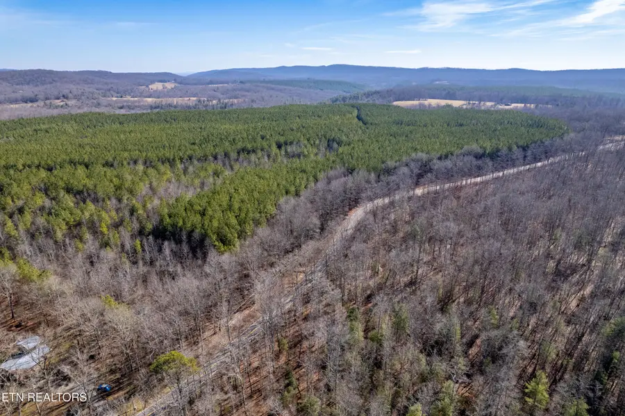 Lower Rockwood Rd Lot 16, Rockwood, TN 37854 - #2