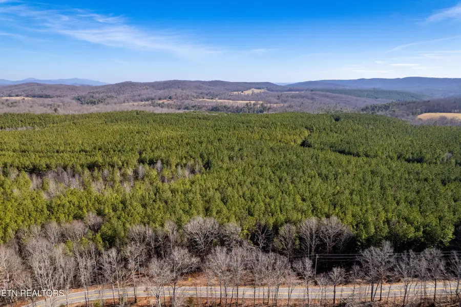 Lower Rockwood Rd Lot 21, Rockwood, TN 37854 - #3