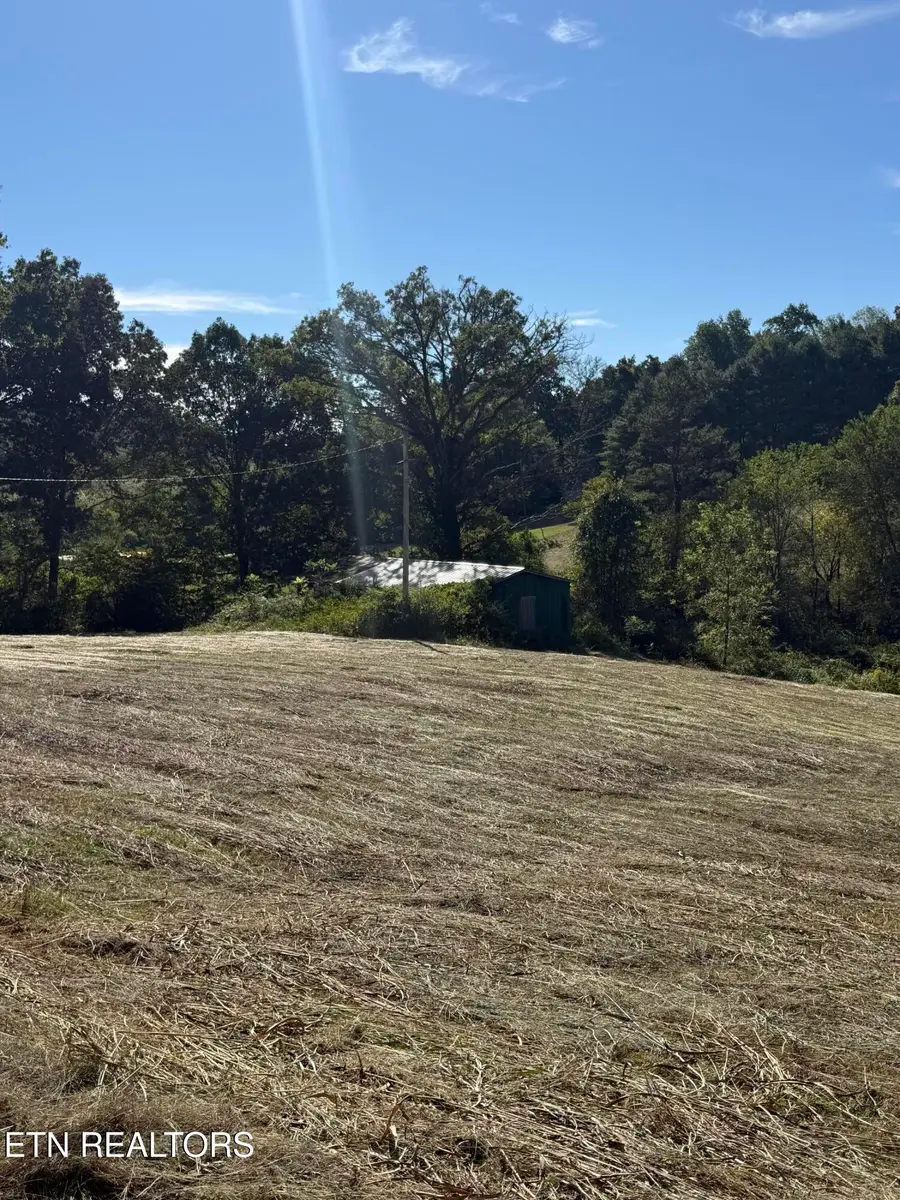 181 Holt Lane #181, New Tazewell, TN 37825 - #3