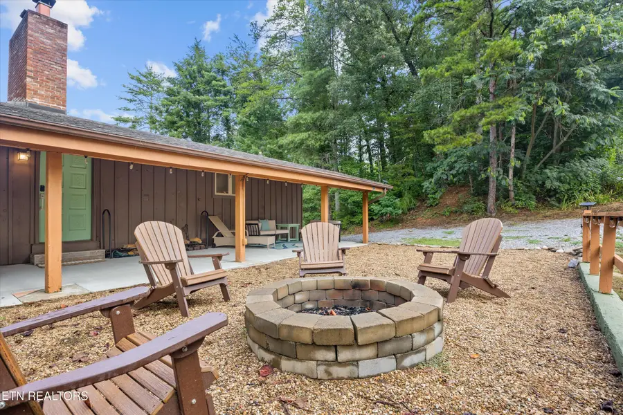 123 Cutter Gap Rd, Townsend, TN 37882 - #2