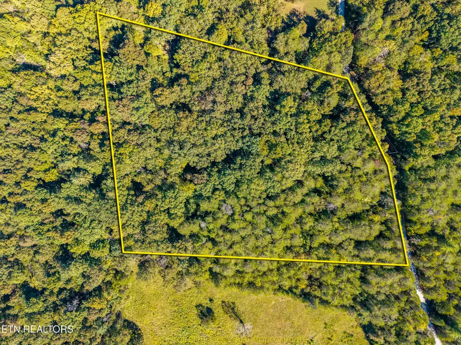 1903 Tree Tops Lane, Seymour, TN 37865 - #3