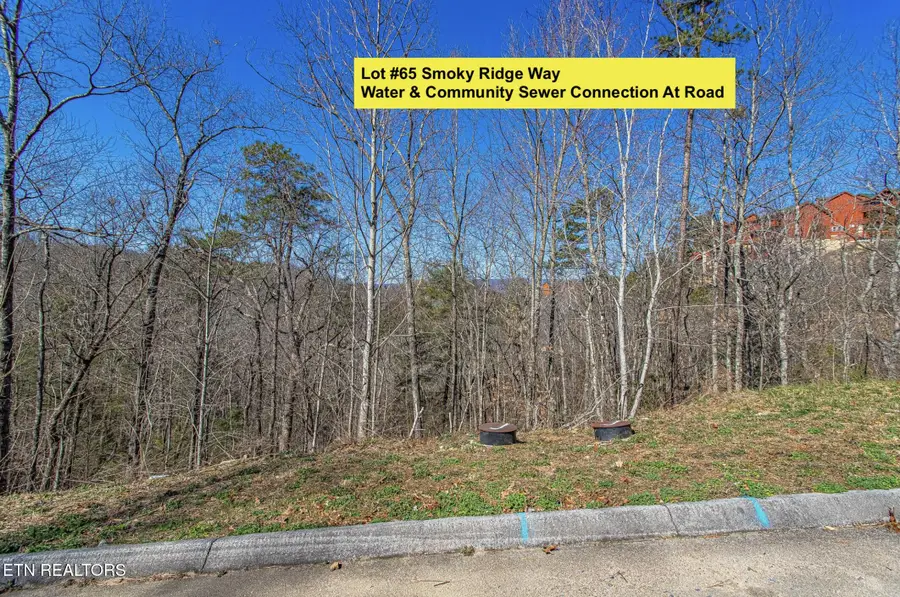 Lot #65 Smoky Ridge Way, Sevierville, TN 37862 - #2