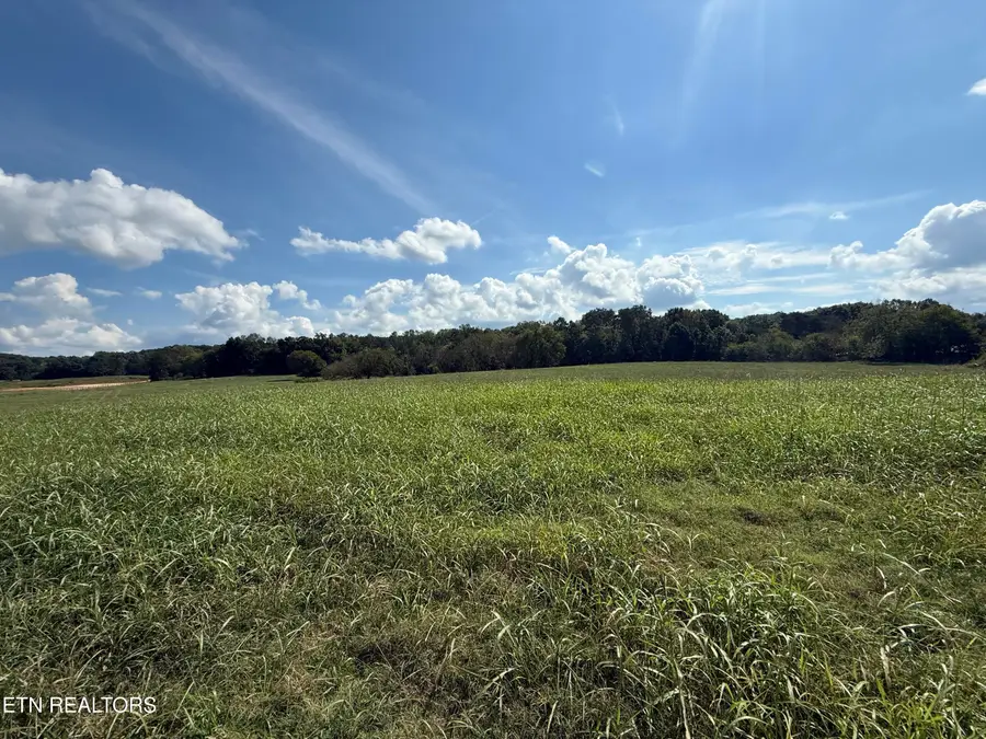 22400 Martel Rd, Lenoir City, TN 37772 - #3