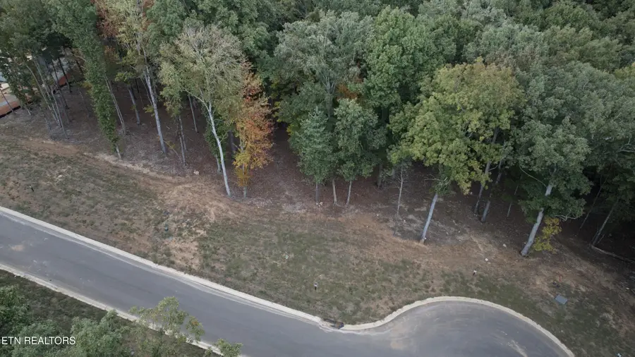 337 Flip Flop Way, Loudon, TN 37774 - #3